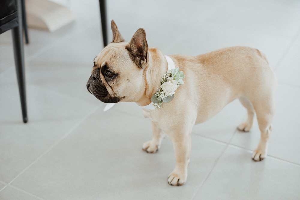 photographe reims mariage champetre